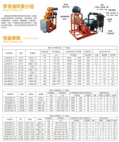 羅茨液環(huán)機組方案